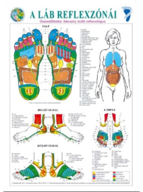 Bánszky Judit: A láb reflexzónái - A3