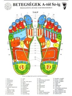   Bánszky Judit: Betegségek A-tól Sz-ig színes (Reflexológusoknak) Jegyzet